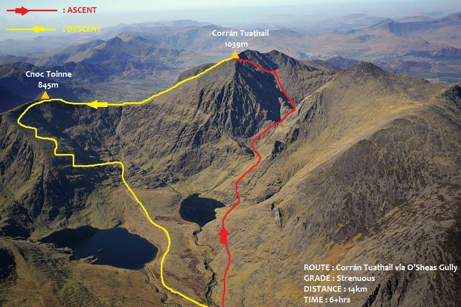 Corran-Tuathail-via-OSheas