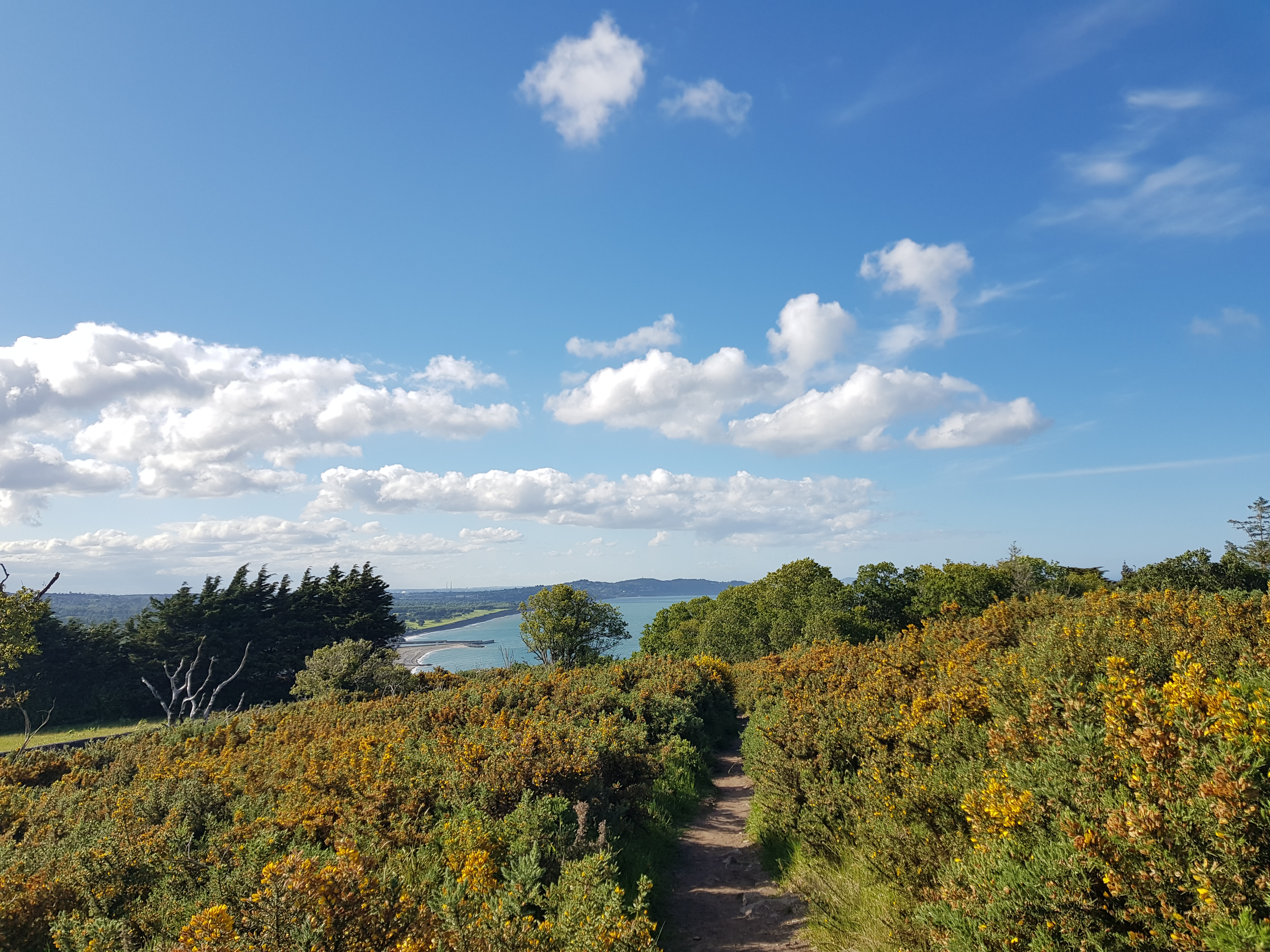 Bray view